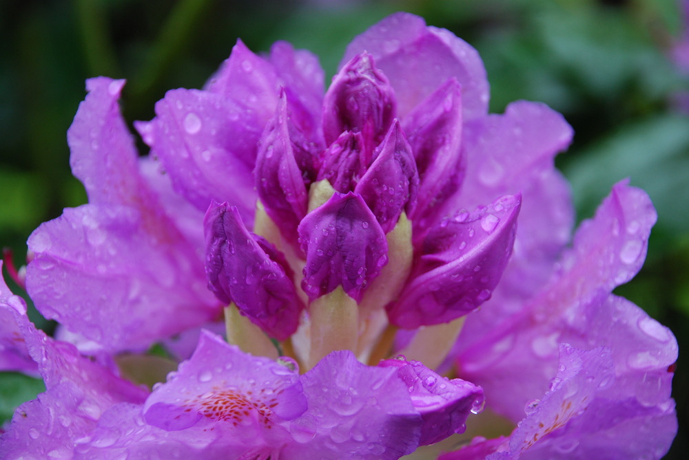 philosophie-mit-herz